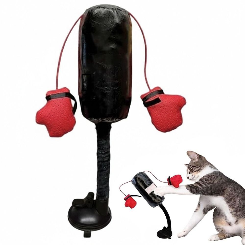 Giocattolo da boxe per gatti c - Boxing Bag Stand recensione e prezzo