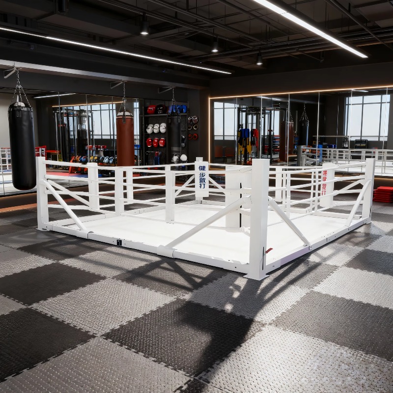 Set Ring da Boxe Pieghevole, A - Home Gym Set recensione e prezzo