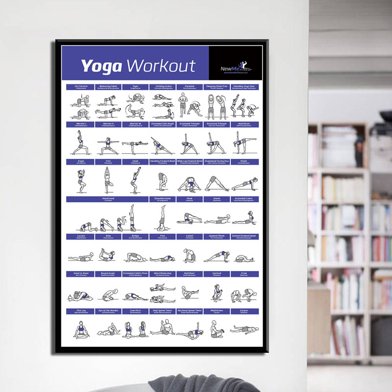 Grafico di allenamento per il  - Home Gym York recensione e prezzo