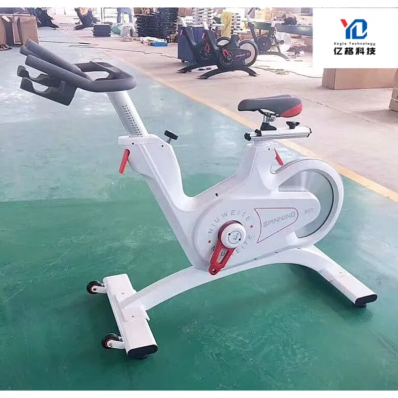 YG-S005 YG Fitness Cyclette Co - Home Gym Equipment recensione e prezzo